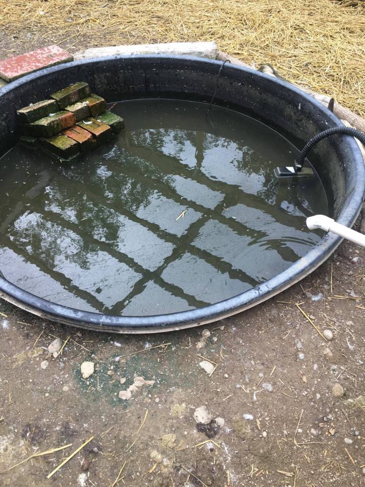 20930848_10155644006863501_821575039_o