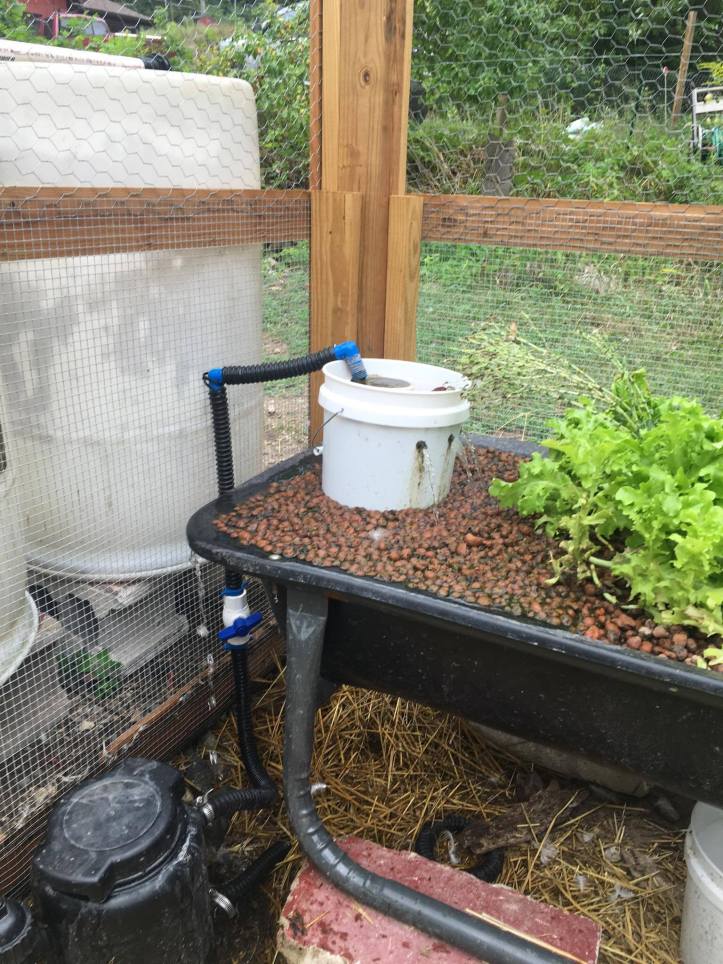 20930918_10155644017183501_1464013121_o