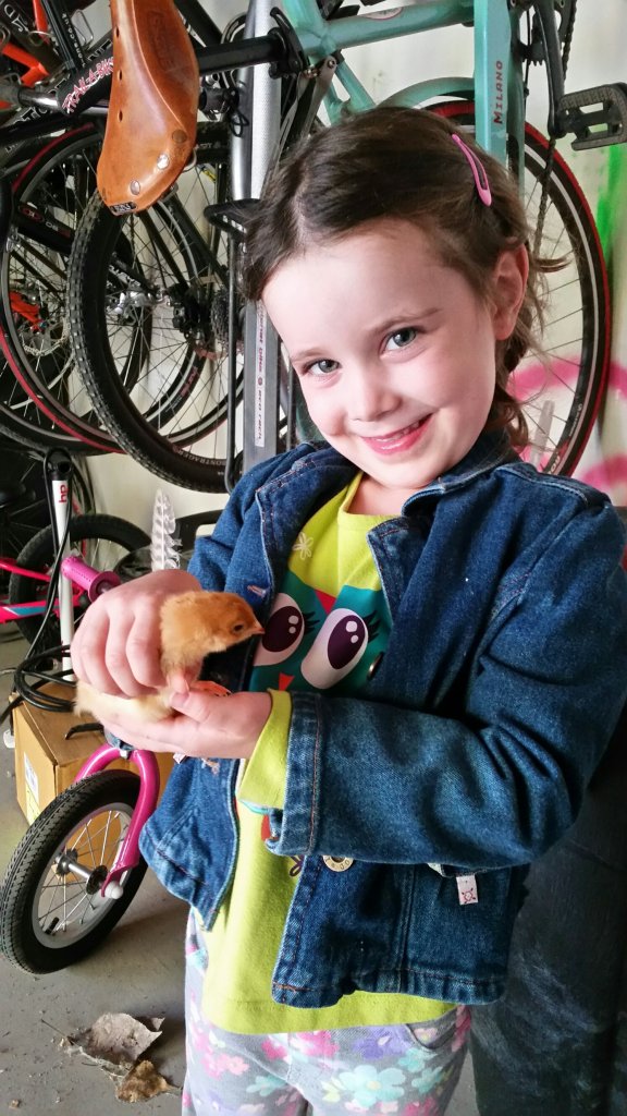 wp-image--1305180802